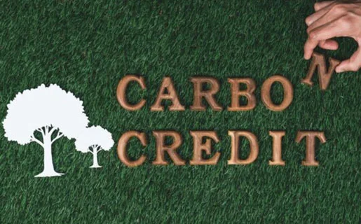 Carbon credit sourcing & due diligence