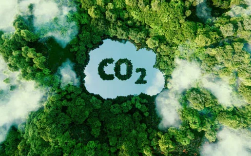 Carbon Offset & Trading Advisory