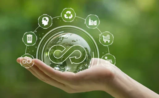 Circular economy, waste & packaging
                                    advisory