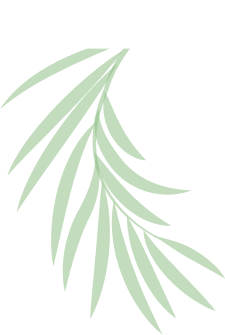 Ecospehre Shape