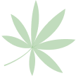Ecospehre Shape