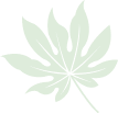 Ecospehre Shape