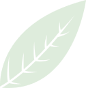 Ecospehre Shape