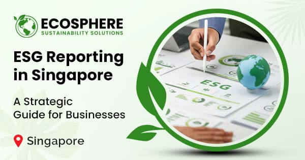 Sustainability and ESG advisory services in Singapore