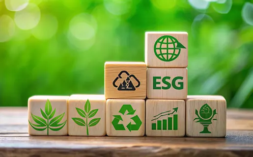 ESG risk management and due diligence