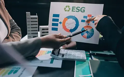 Internal control review for ESG data