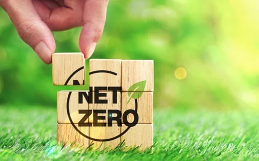 Net zero strategy & roadmap development