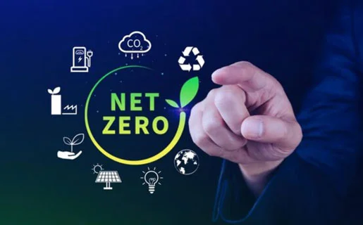 Net-zero strategy & transition planning