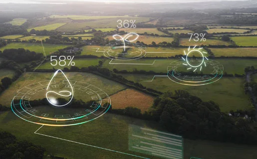 Scope 3 & supply chain decarbonisation