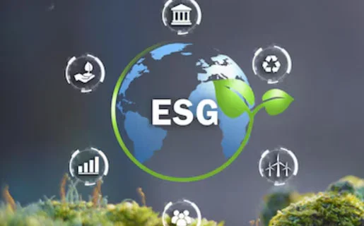 Supply chain ESG advisory