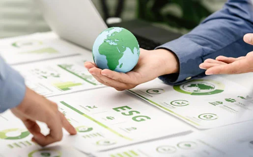 Supply chain ESG advisory