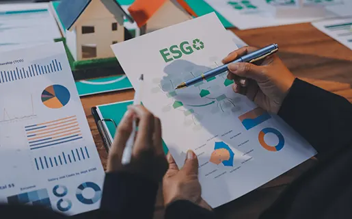Sustainability report review & improvement