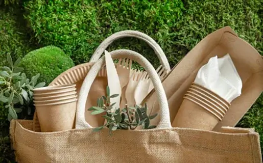 Sustainable product design advisory